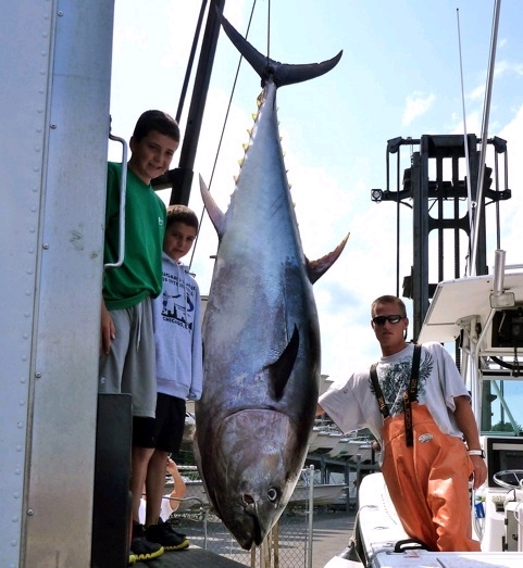 600 pound giant tuna