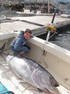 Ryan Steves with a Tuna just under 300lbs