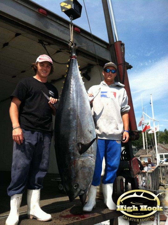 highhooktuna