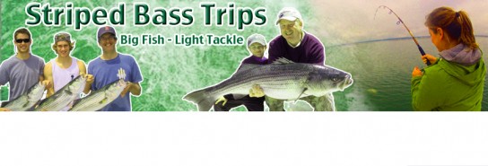 StripedbassBanner#3
